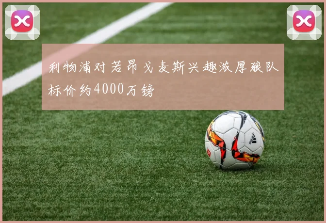 利物浦对若昂戈麦斯兴趣浓厚狼队标价约4000万镑